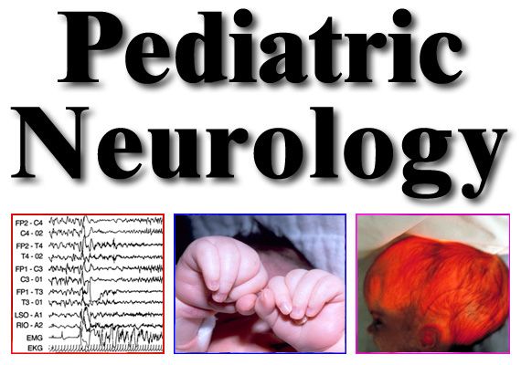 step by step pediatric echocardiography pdf