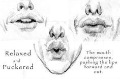 anatomy of facial expression pdf torrent