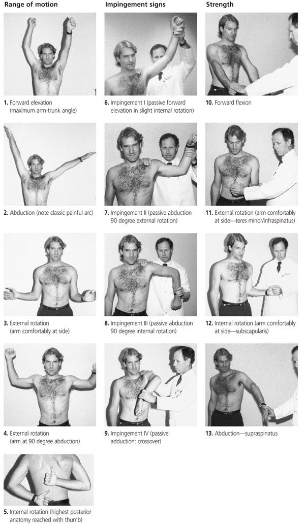shoulder exercises for elderly pdf