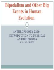 primate adaptation and evolution third edition pdf